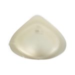 Protesis traslucido2