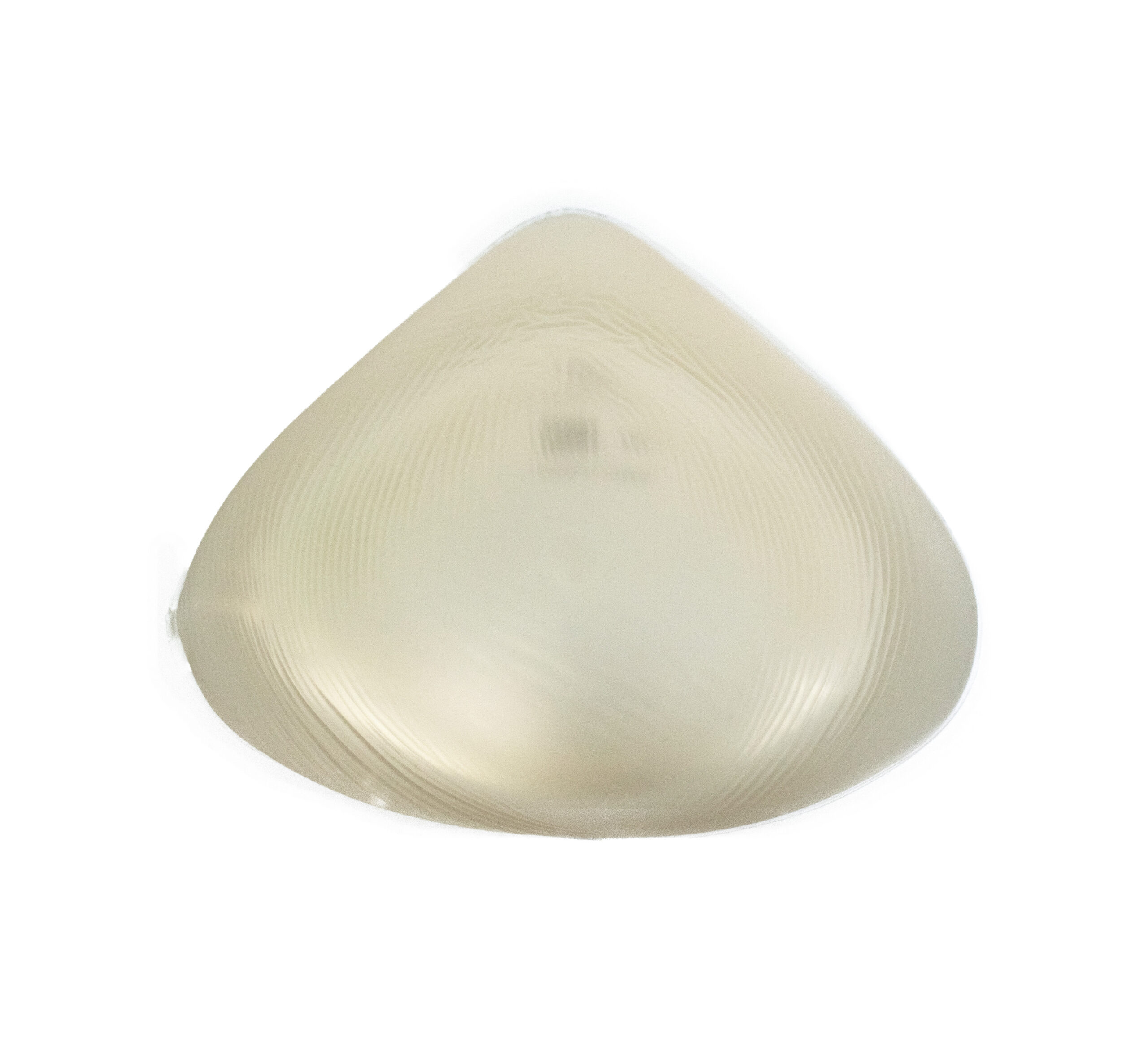 Protesis traslucido2